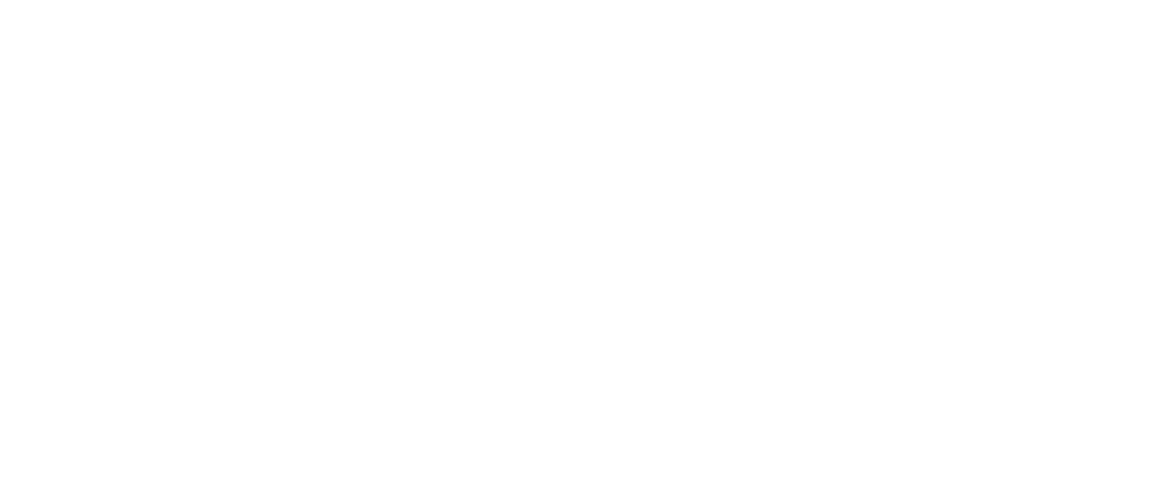 CRN logo REVERSE